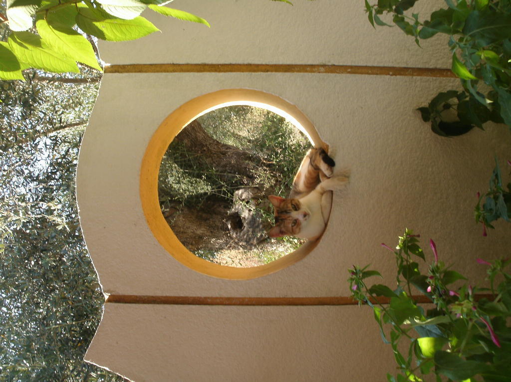 Aparthotel Athina Kávos Esterno foto